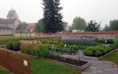 Der Kräutergarten